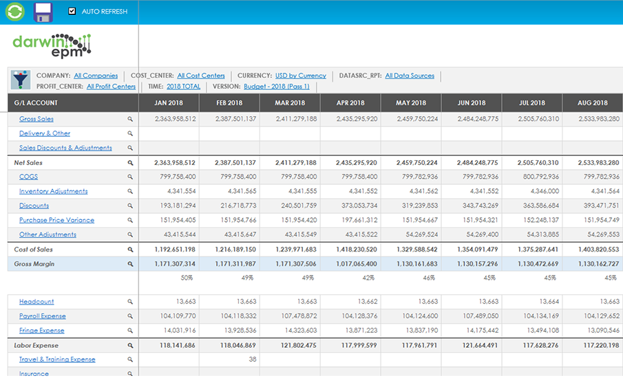 P&L and cash flow forecasting